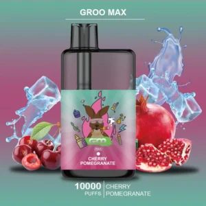 GROO MAX -CHERRY POMEGRANATE- 10000 PUFFS